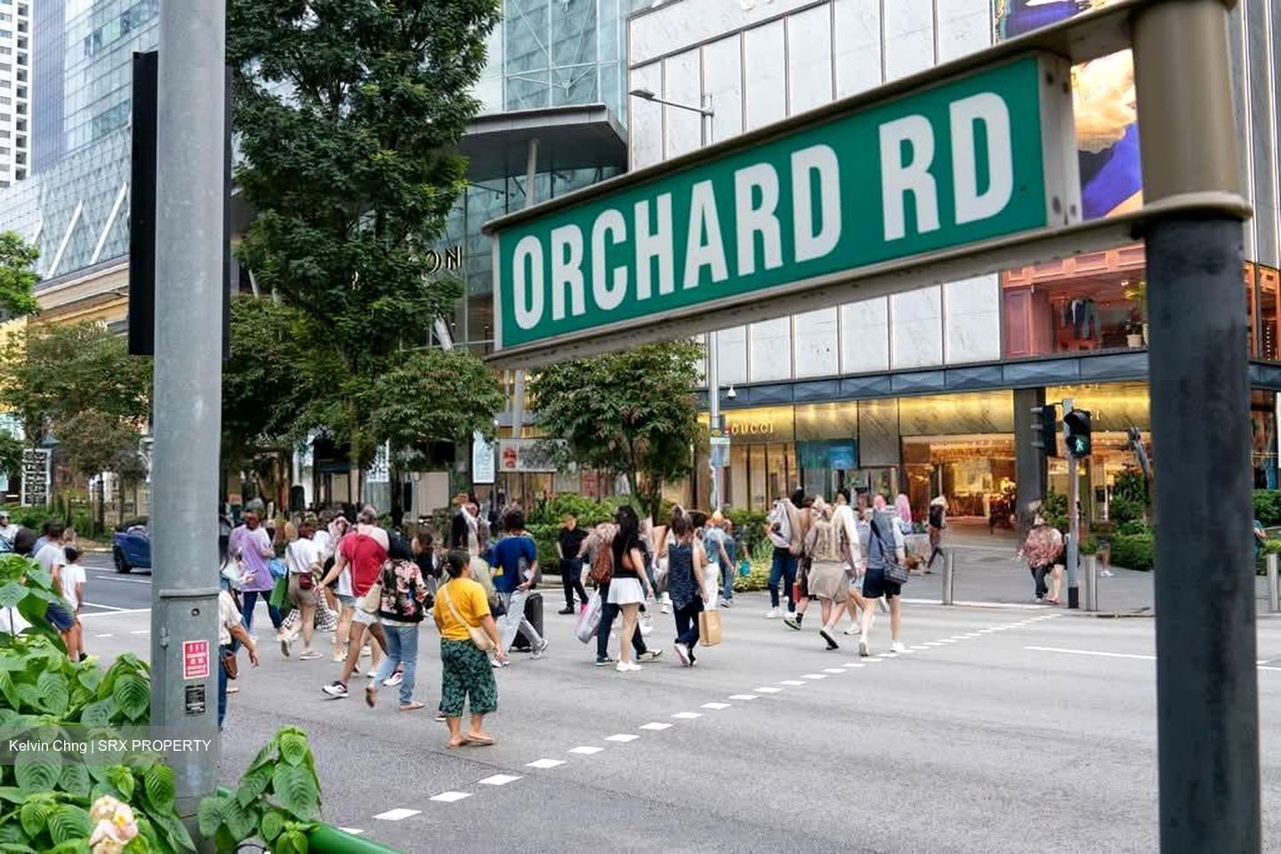 Ion Orchard (D9), Condominium #555615521